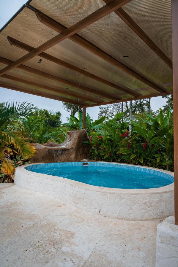 Tucan Guest house