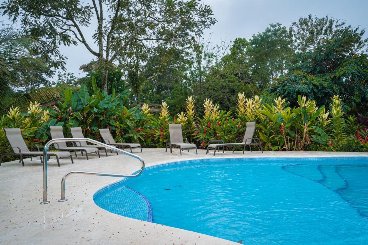 Tucan Guest house *