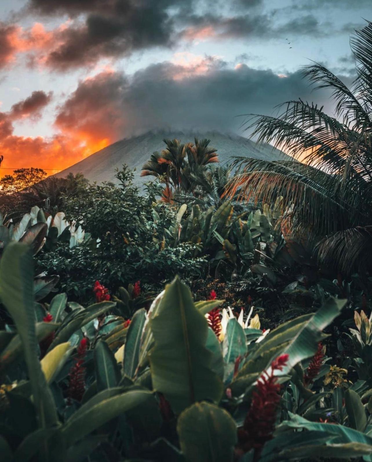 Tucan * La Fortuna
