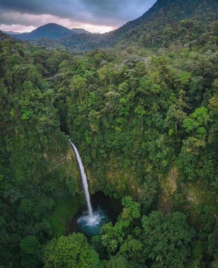 Tucan La Fortuna