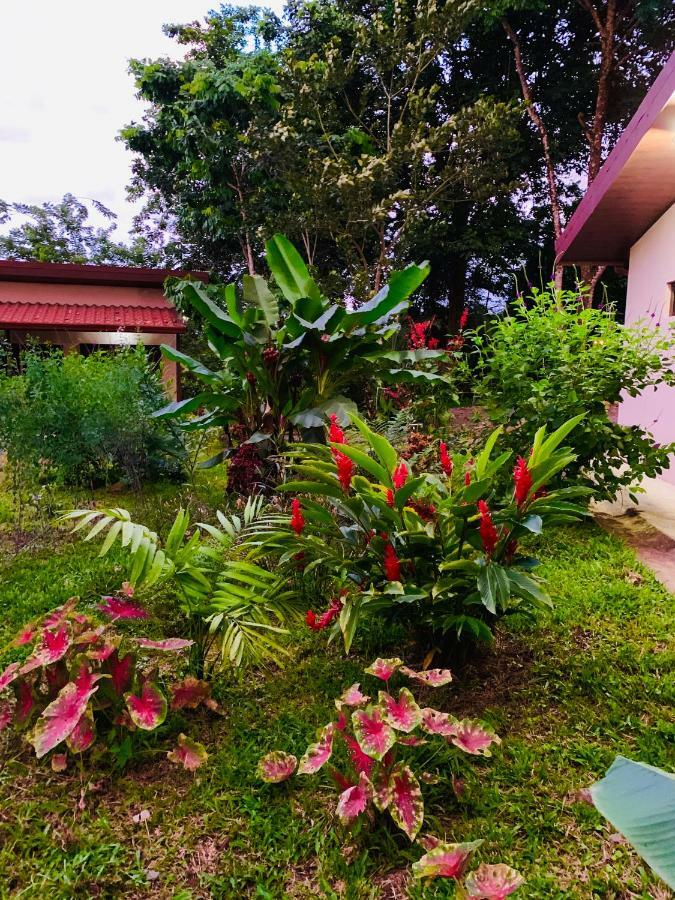 Tucan * La Fortuna