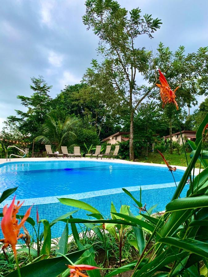 Tucan La Fortuna